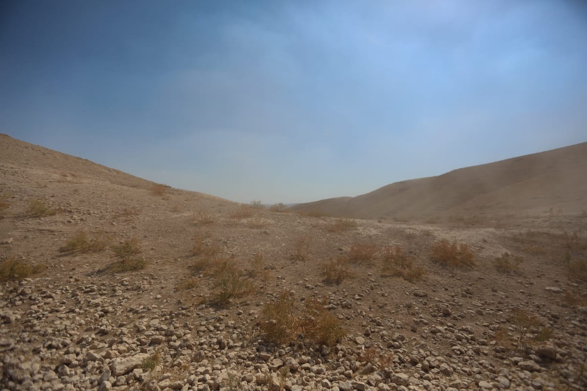 תיעוד: החיים השלווים של הבדואים במדבר יהודה