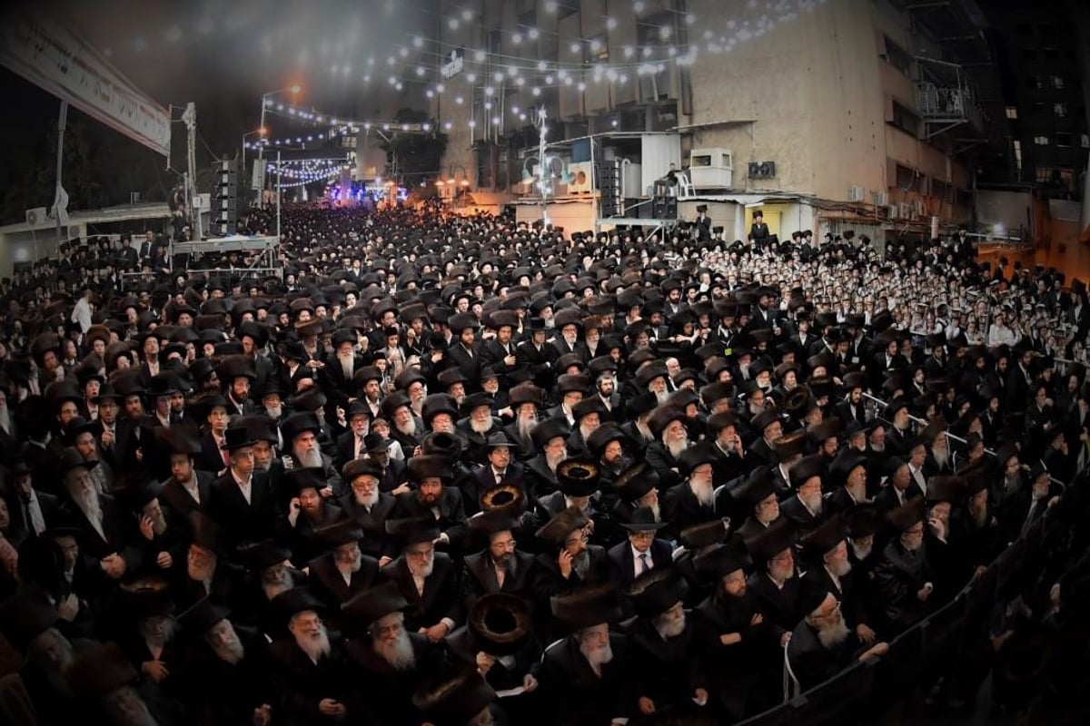 גלריה מסכמת: חתונת נכד האדמו"ר מויז'ניץ