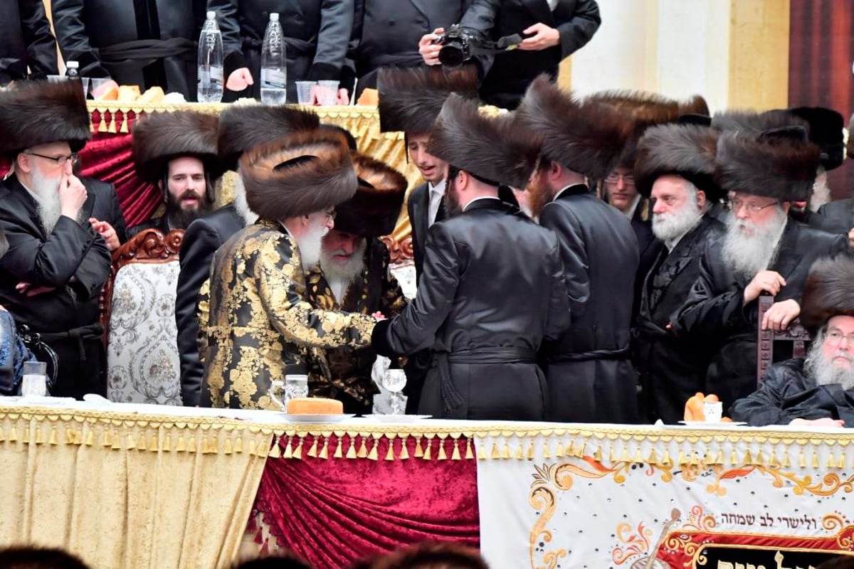 גלריה מסכמת: חתונת נכד האדמו"ר מויז'ניץ