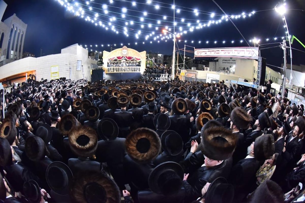 גלריה מסכמת: חתונת נכד האדמו"ר מויז'ניץ