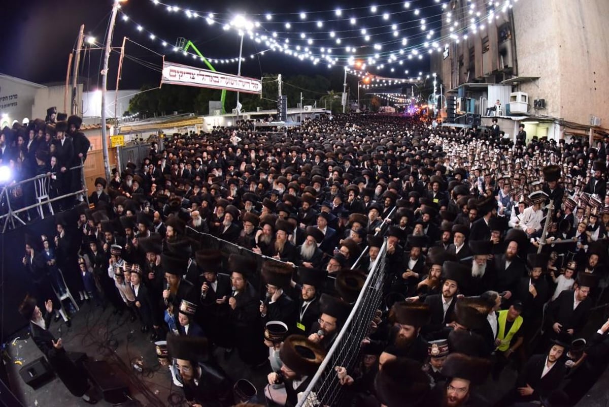 גלריה מסכמת: חתונת נכד האדמו"ר מויז'ניץ