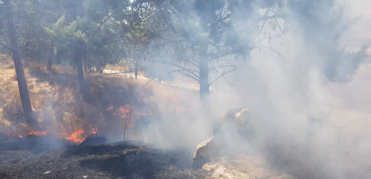 להבות בירושלים: בית מדרש וגן ילדים - פונו