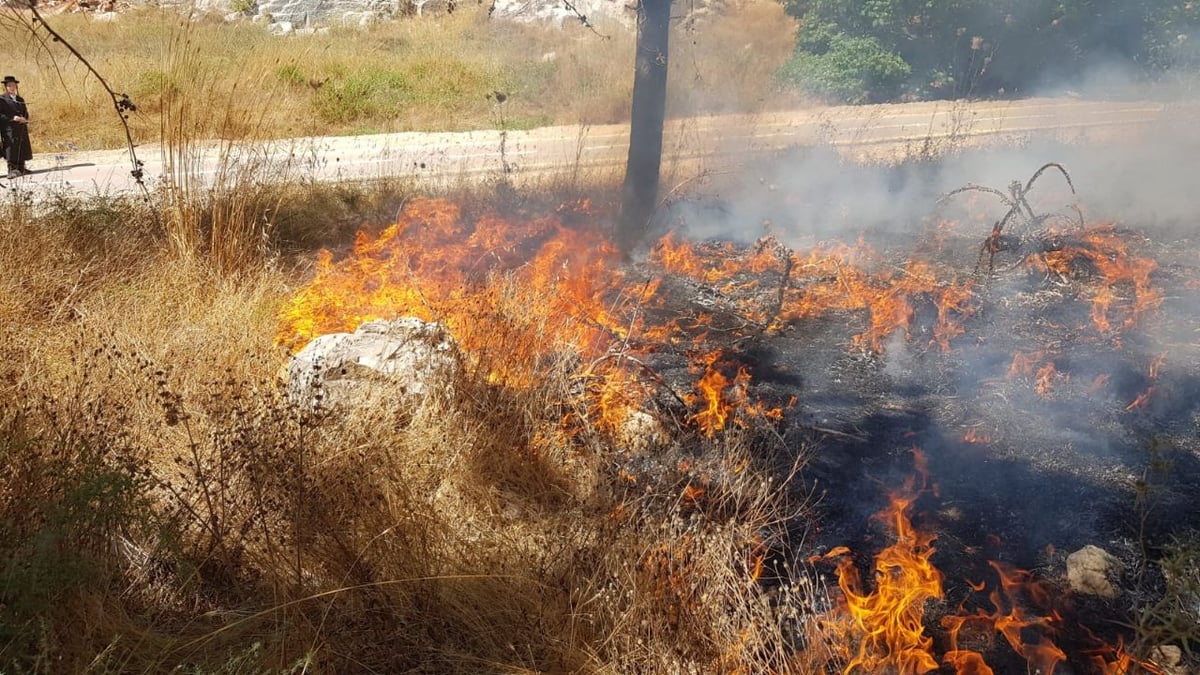 להבות בירושלים: בית מדרש וגן ילדים - פונו