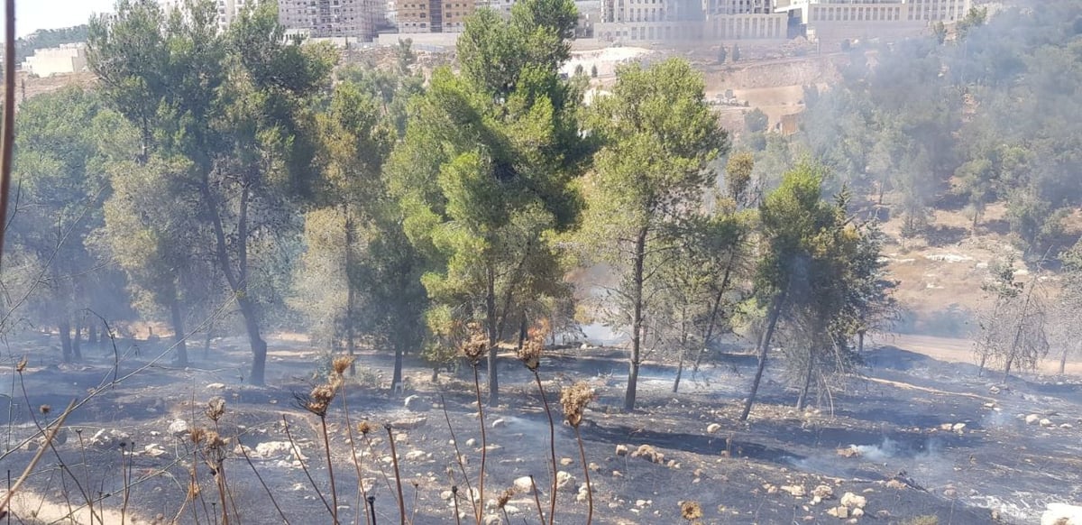 להבות בירושלים: בית מדרש וגן ילדים - פונו