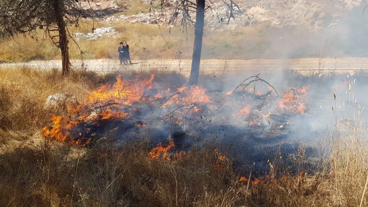 להבות בירושלים: בית מדרש וגן ילדים - פונו