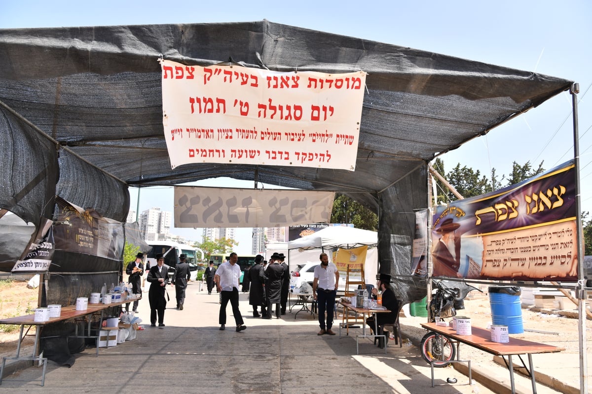 כך ציינו בצאנז את ה'יארצייט' לאדמו"ר זצ"ל