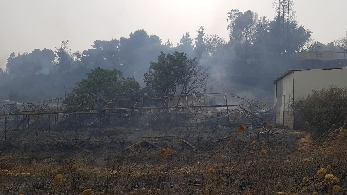 רגיעה בגל השריפות: כ-15 בתים עלו בלהבות המשתוללות