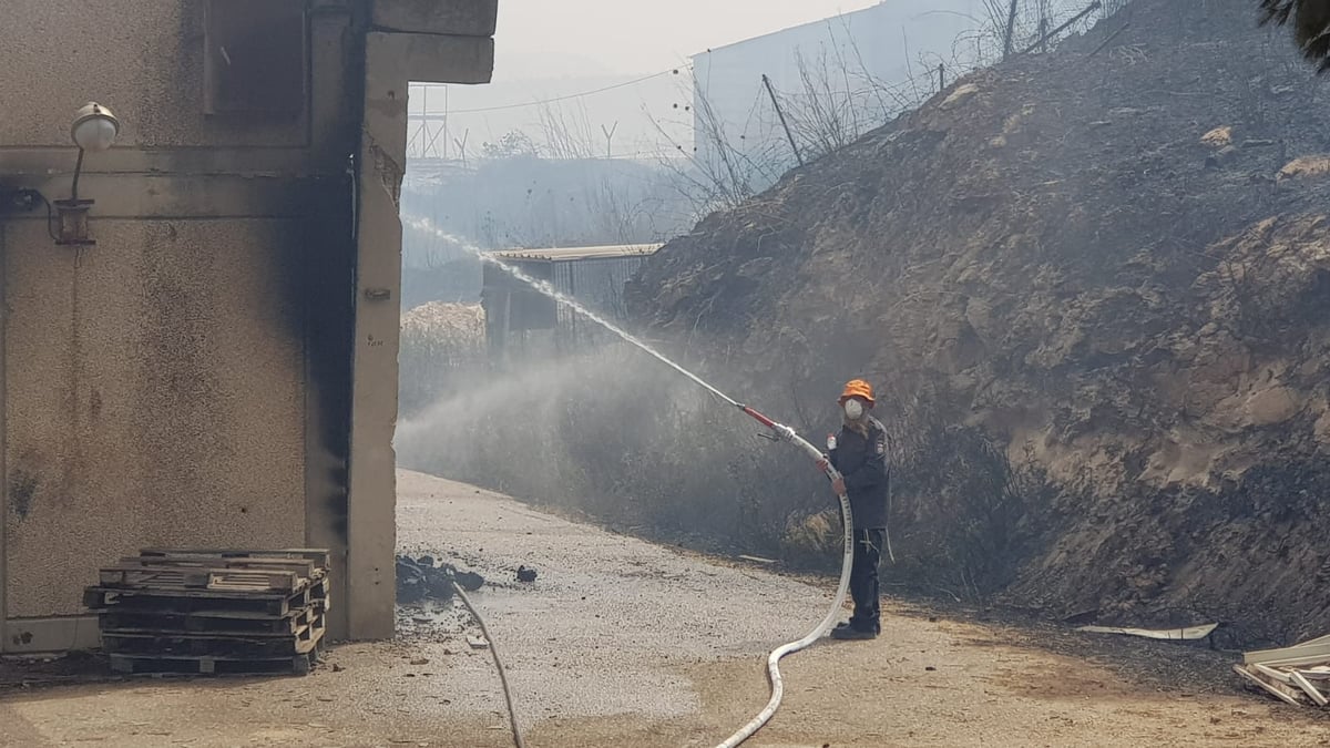 רגיעה בגל השריפות: כ-15 בתים עלו בלהבות המשתוללות