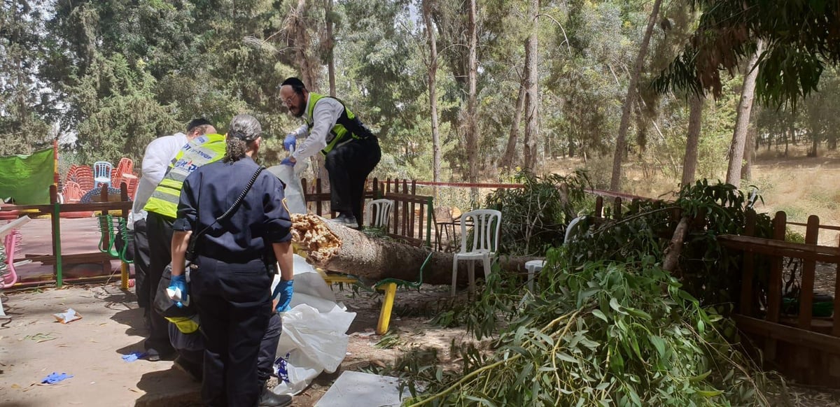 ילד בן 10 נהרג מקריסת עץ בפארק לכיש