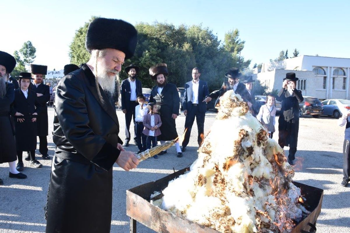 האדמו"ר מאשלג שבת ביישוב מירון • גלריה