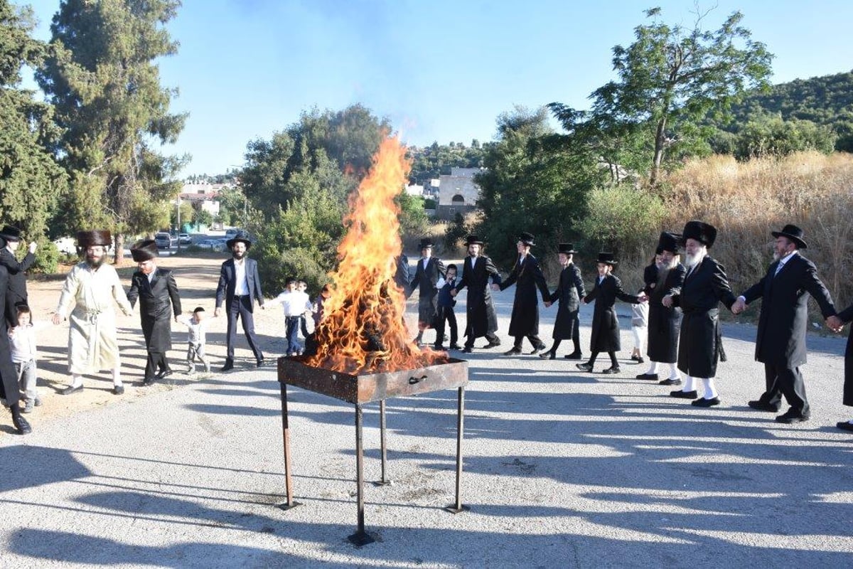 האדמו"ר מאשלג שבת ביישוב מירון • גלריה