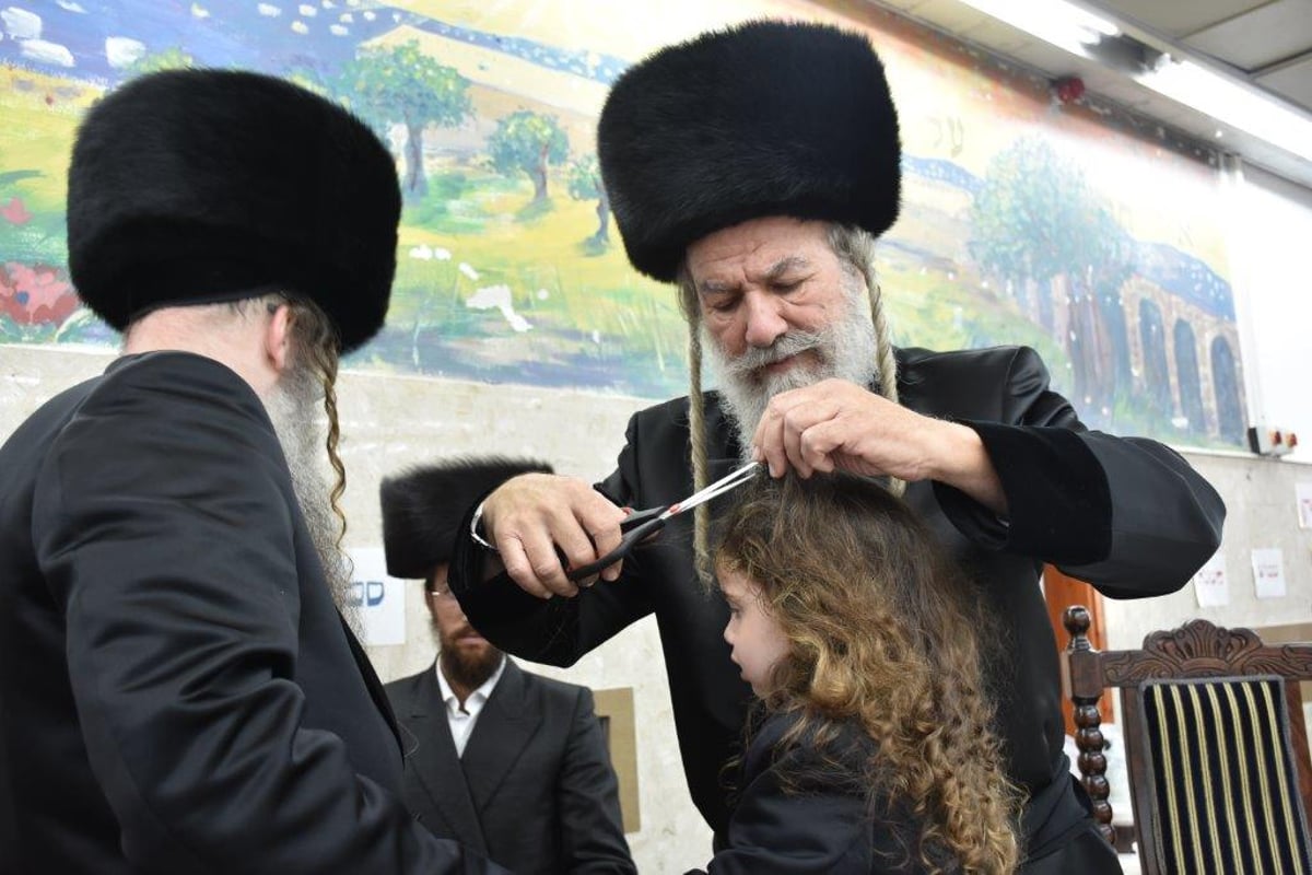 האדמו"ר מאשלג שבת ביישוב מירון • גלריה