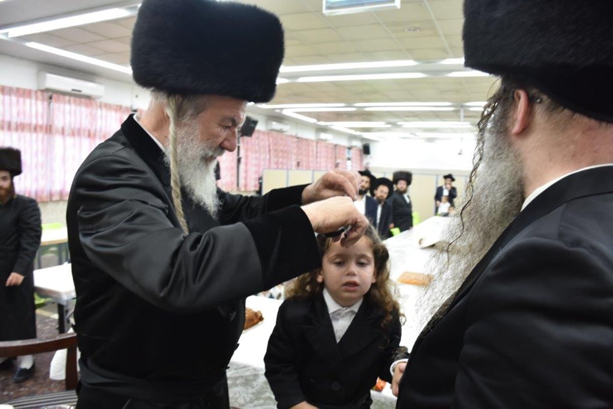 האדמו"ר מאשלג שבת ביישוב מירון • גלריה