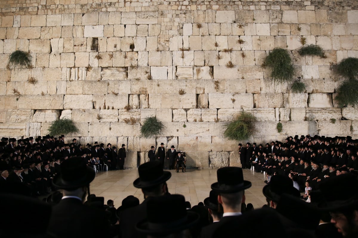 לרגל ה'יארצייט': האדמו"ר מסערט ויז'ניץ - בכותל