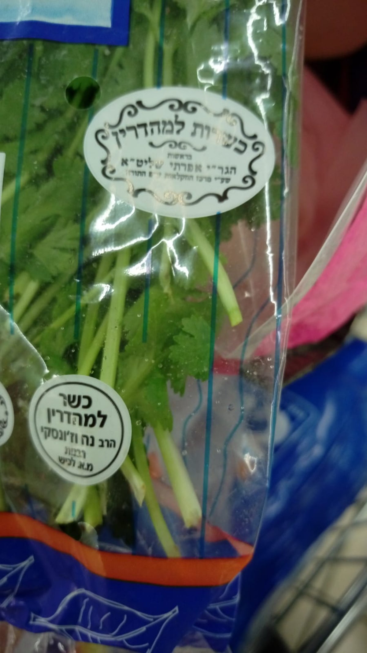 הקונה הזדעזע: קרפדה חיה בתוך שקית חסה • צפו