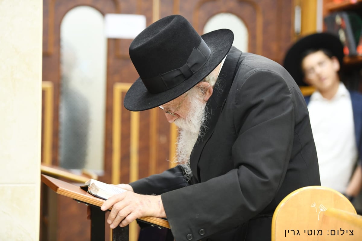 מיוחד: יום בחיי הגאון רבי מאיר גריינמן • צפו