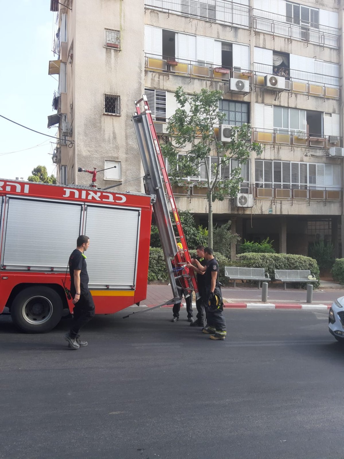 צפו: הכבאים חילצו את היונה שנתקעה בעץ