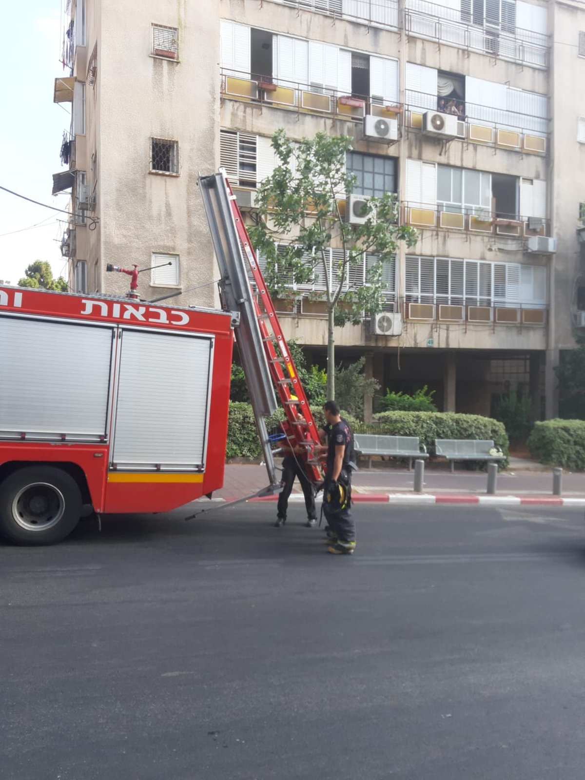 צפו: הכבאים חילצו את היונה שנתקעה בעץ