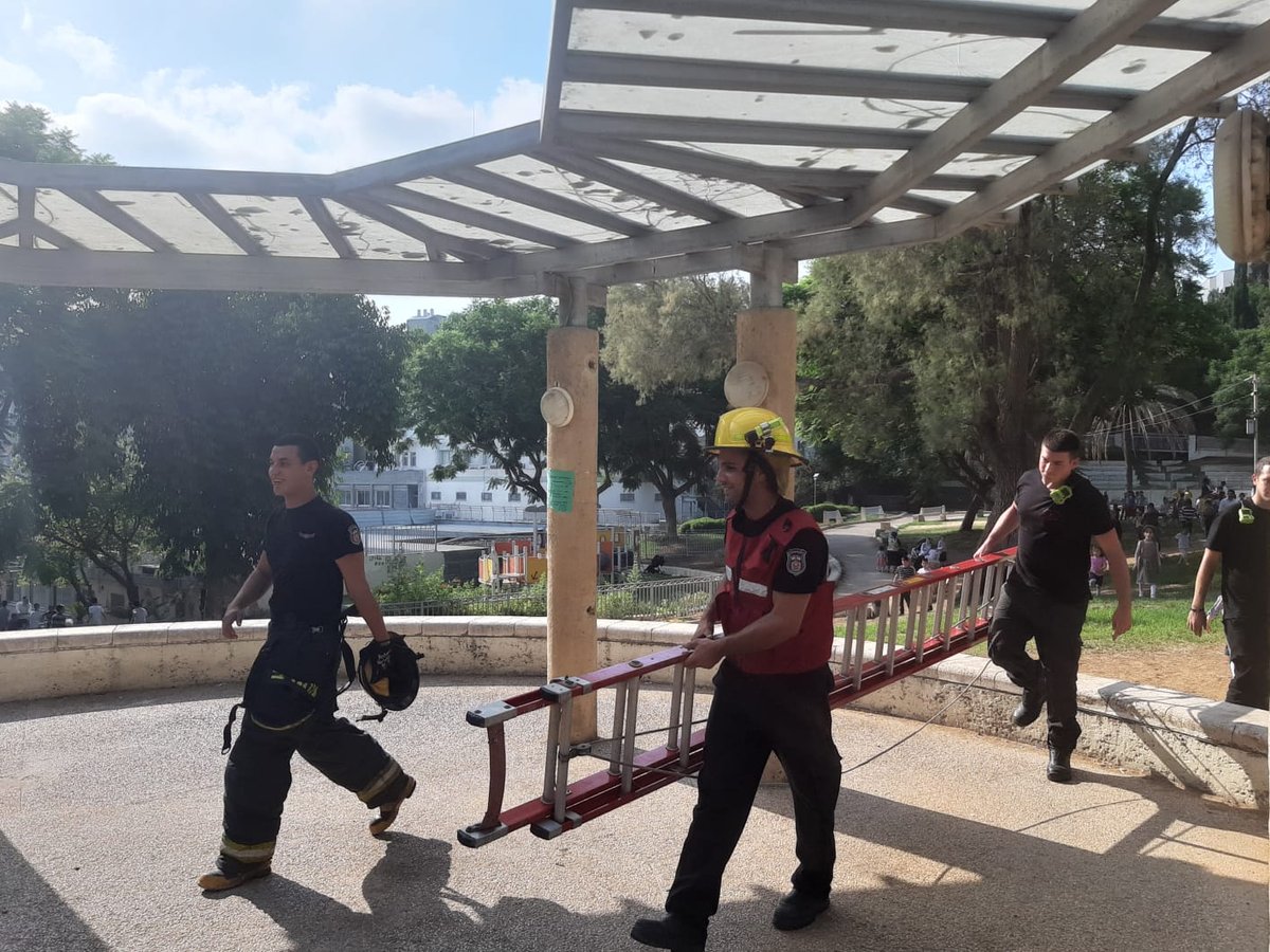 צפו: הכבאים חילצו את היונה שנתקעה בעץ