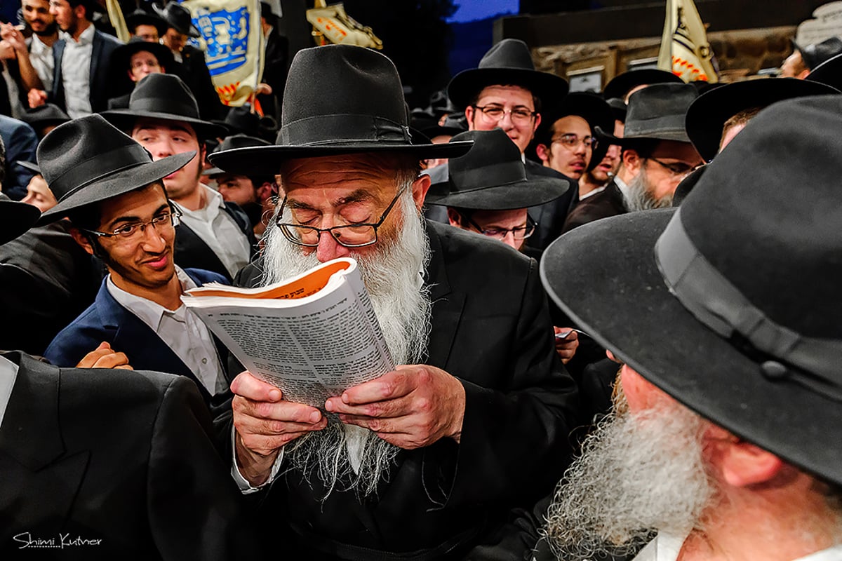 תיעוד: חב"ד חגגה את סיום הרמב"ם בטבריה