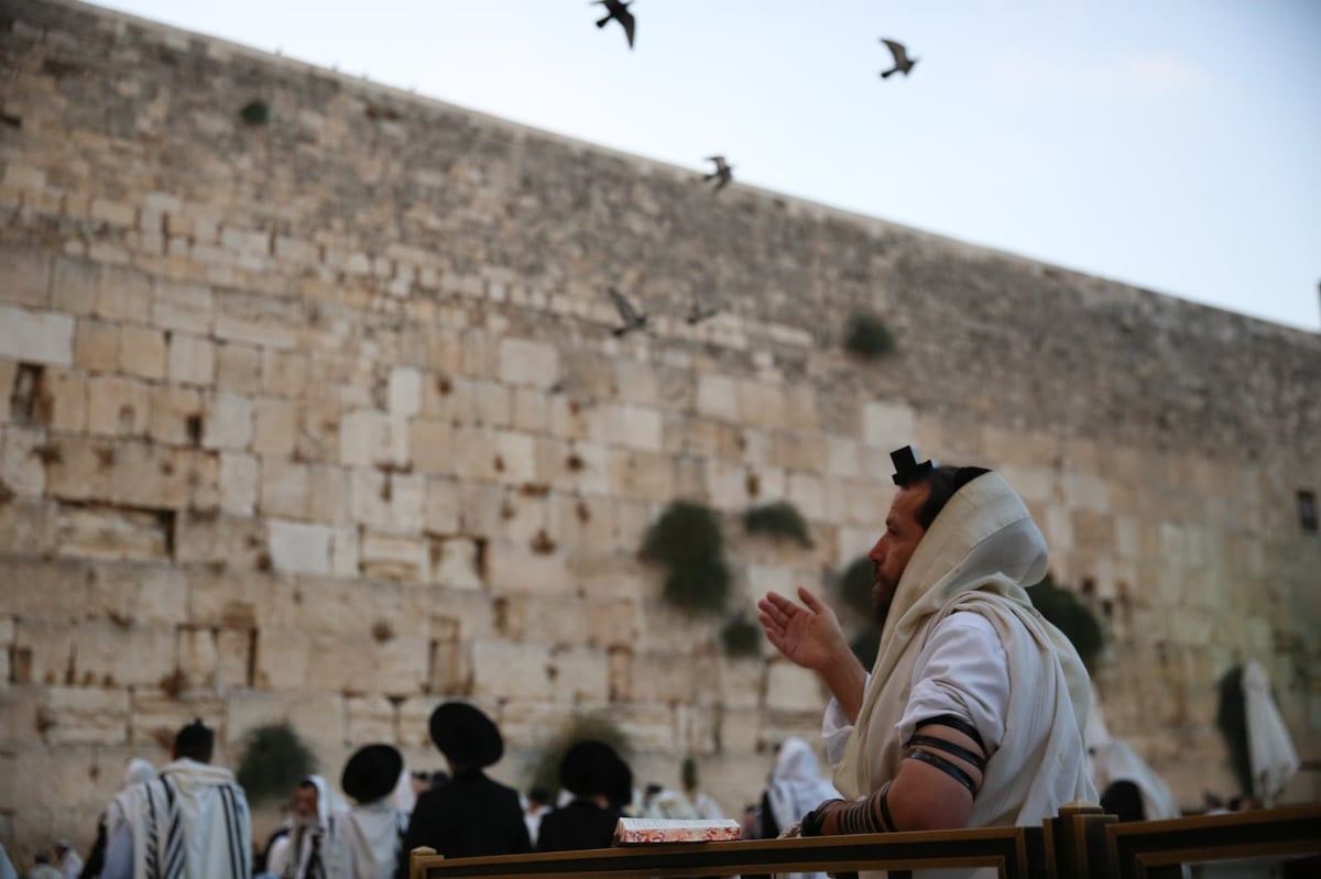 תיעוד: תפילת שחרית ליד שריד בית מקדשנו