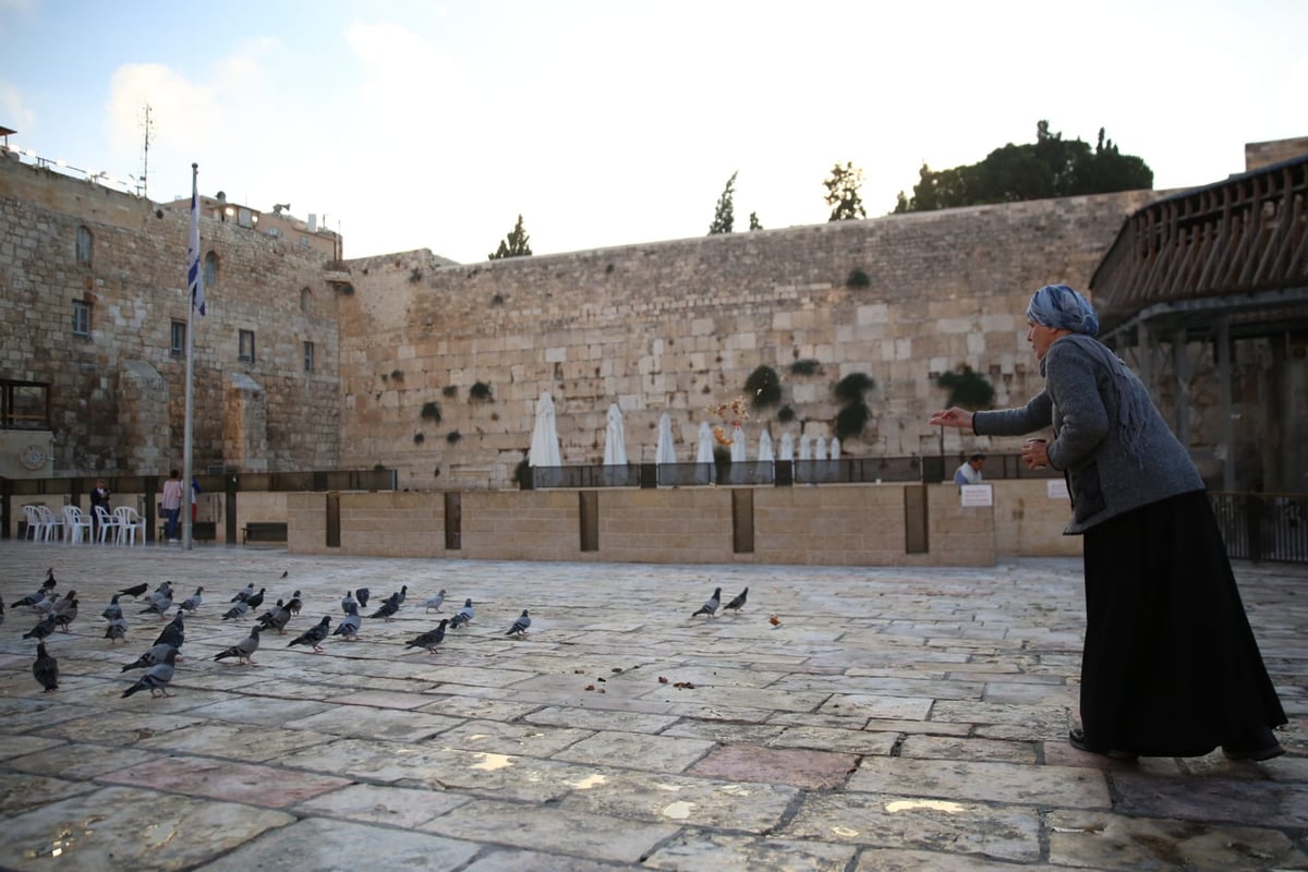 תיעוד: תפילת שחרית ליד שריד בית מקדשנו