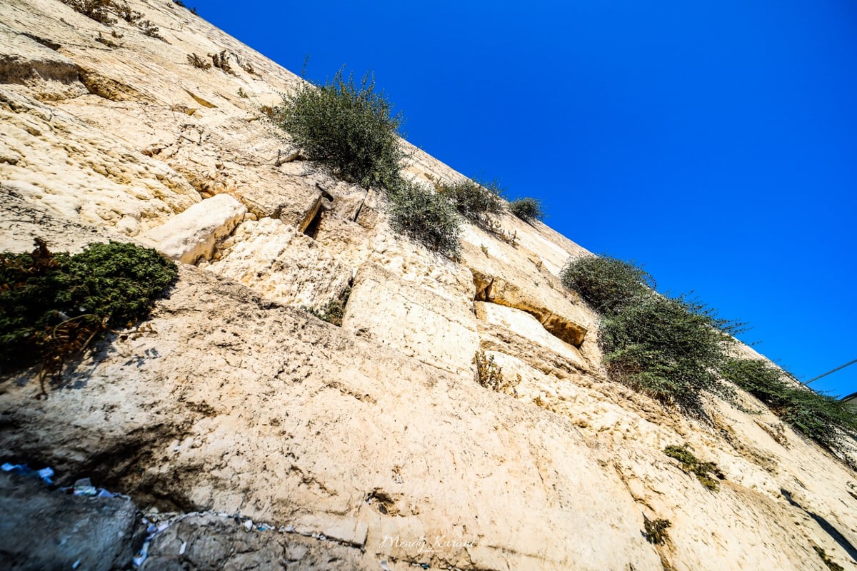 תיעוד מיוחד לתשעה באב: עיר הקודש ירושלים