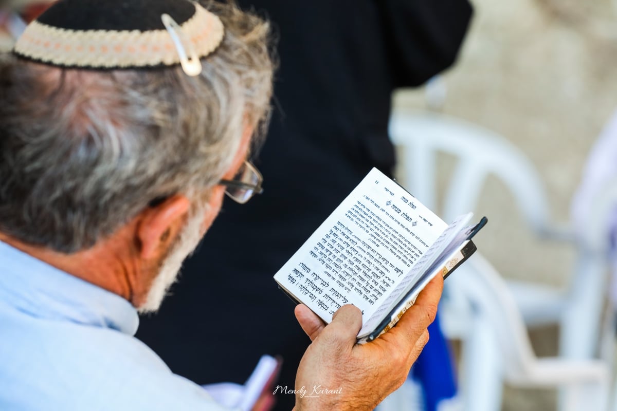 תיעוד מיוחד לתשעה באב: עיר הקודש ירושלים