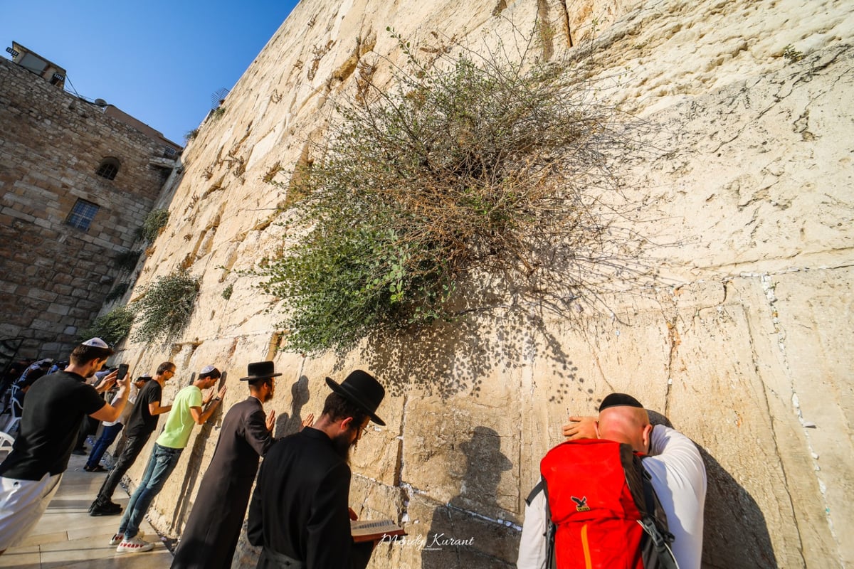 תיעוד מיוחד לתשעה באב: עיר הקודש ירושלים