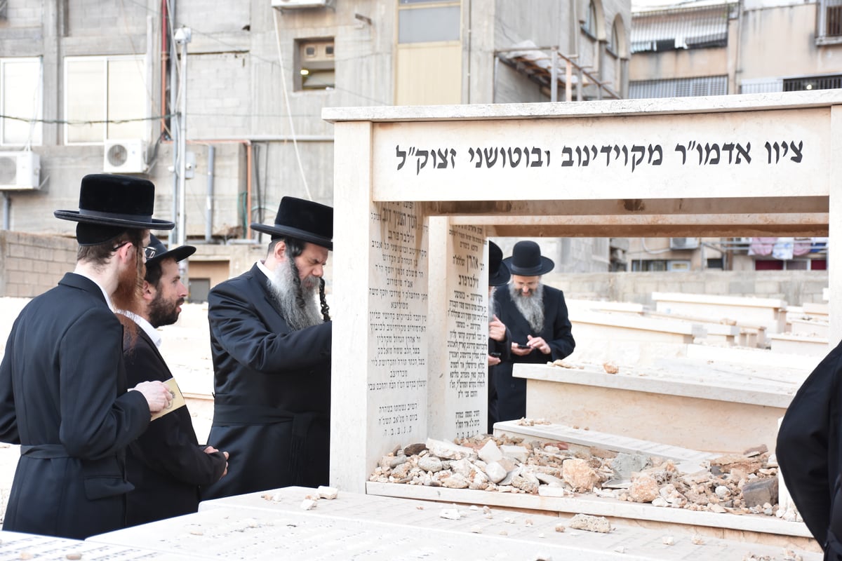 האדמו"ר מקוידינוב בהילולת זקינו • גלריה