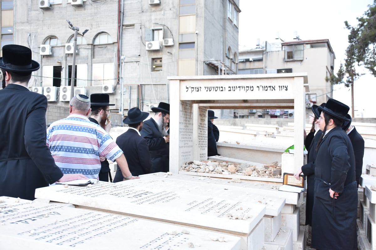 האדמו"ר מקוידינוב בהילולת זקינו • גלריה