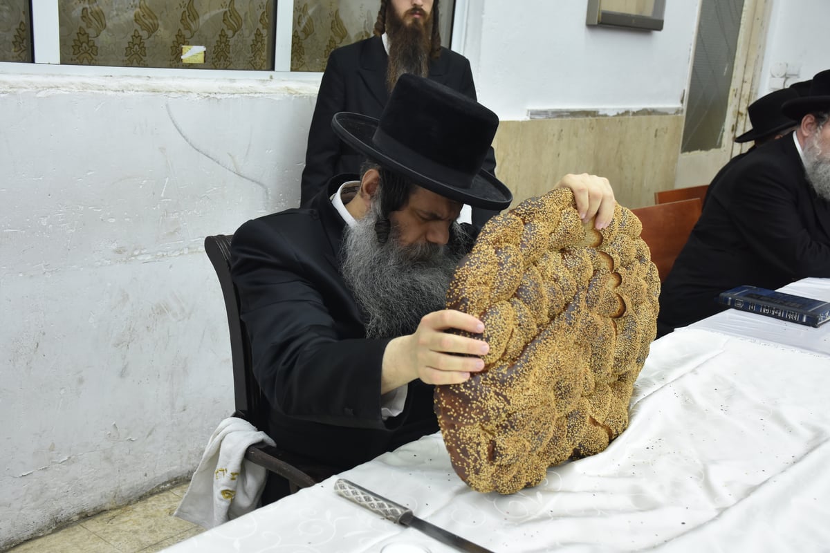 האדמו"ר מקוידינוב בהילולת זקינו • גלריה