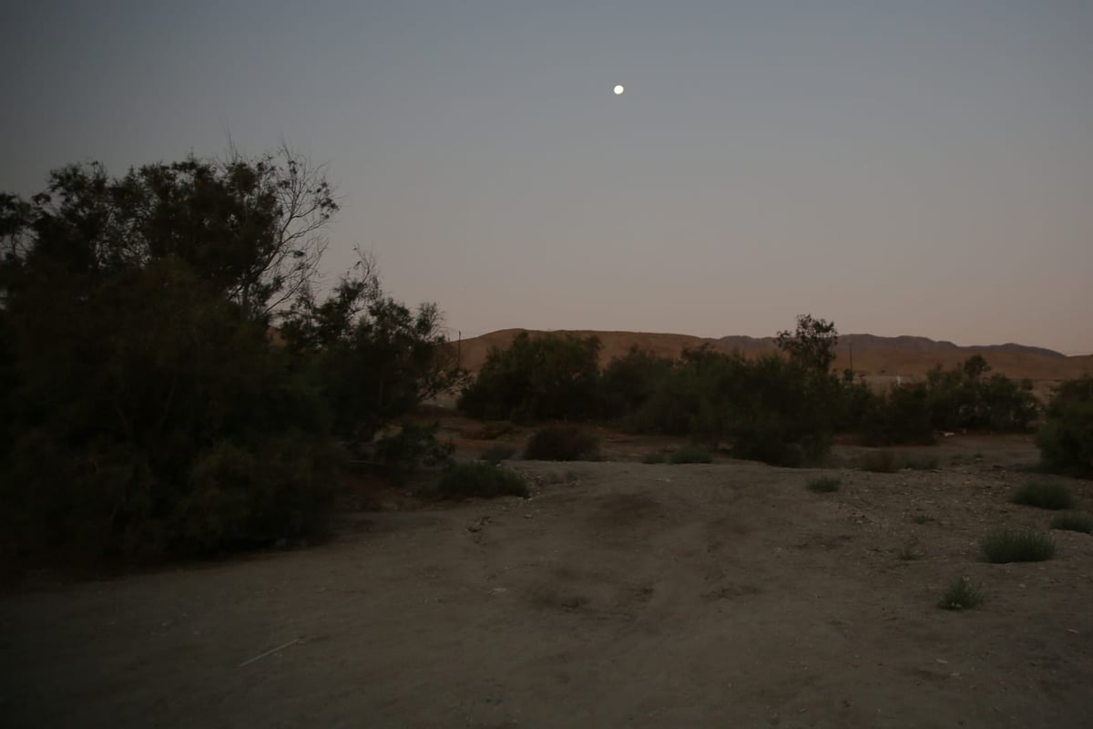 תיעוד נפלא: זריחת השמש בים המלח • צפו