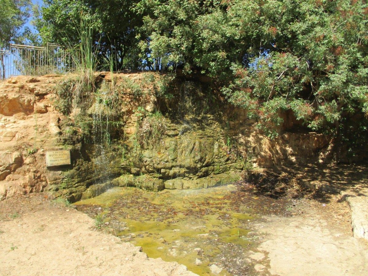 טיול דרך עדשת המצלמה לטבע הירושלמי