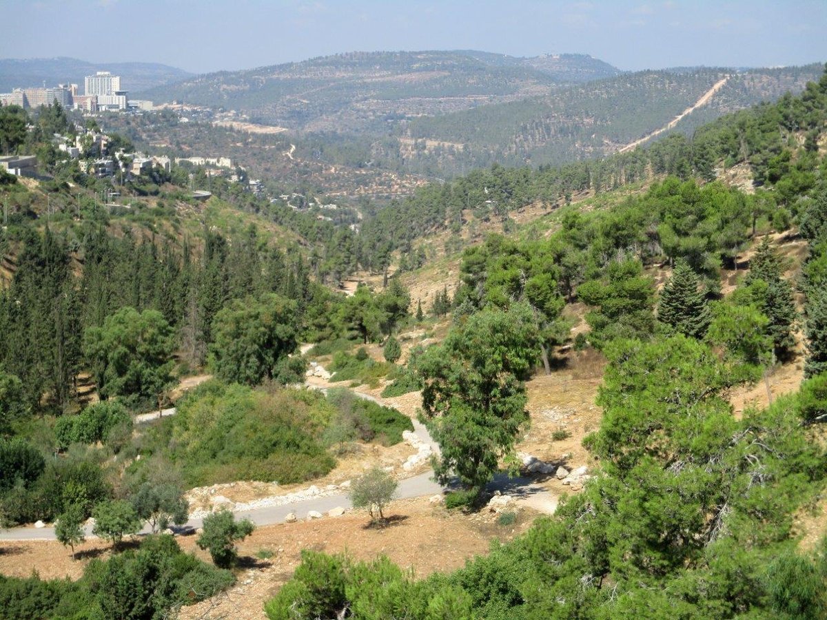 טיול דרך עדשת המצלמה לטבע הירושלמי