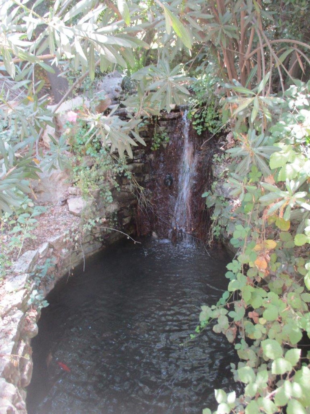 טיול דרך עדשת המצלמה לטבע הירושלמי