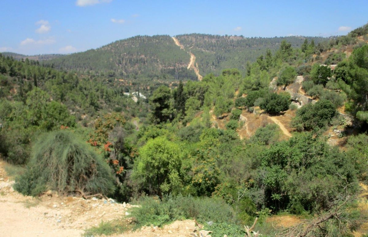 טיול דרך עדשת המצלמה לטבע הירושלמי