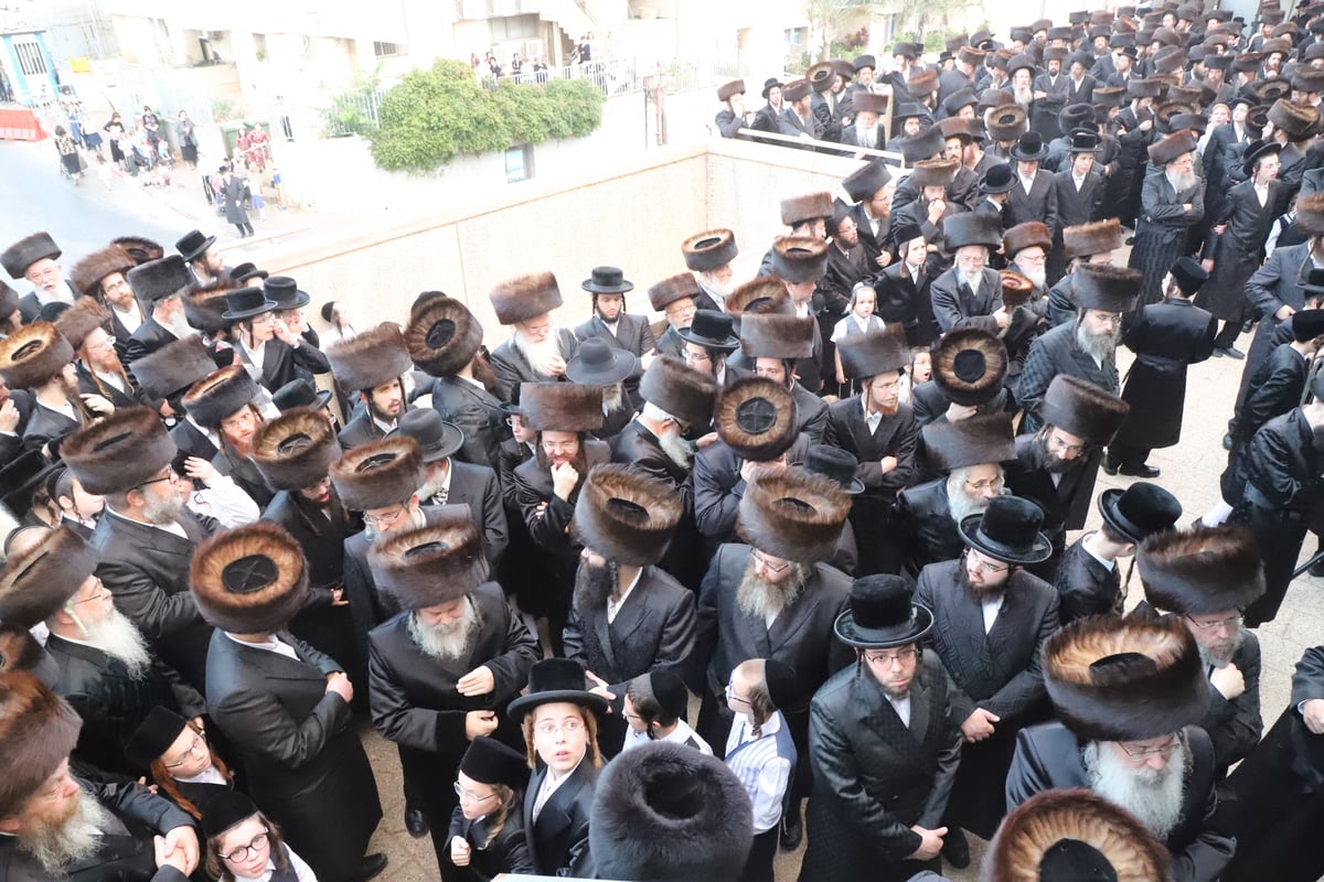 צפו: נישואי בן האדמו"ר מנדבורנה ירושלים