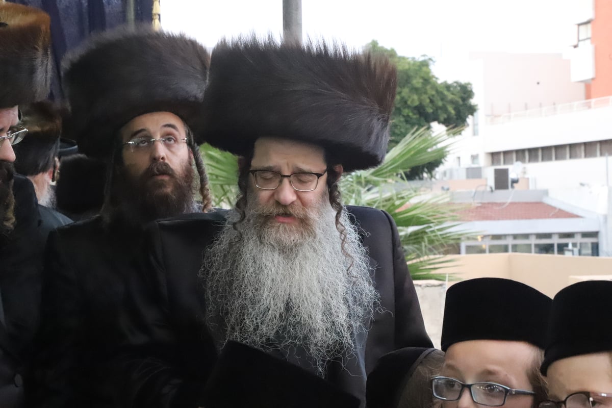 צפו: נישואי בן האדמו"ר מנדבורנה ירושלים