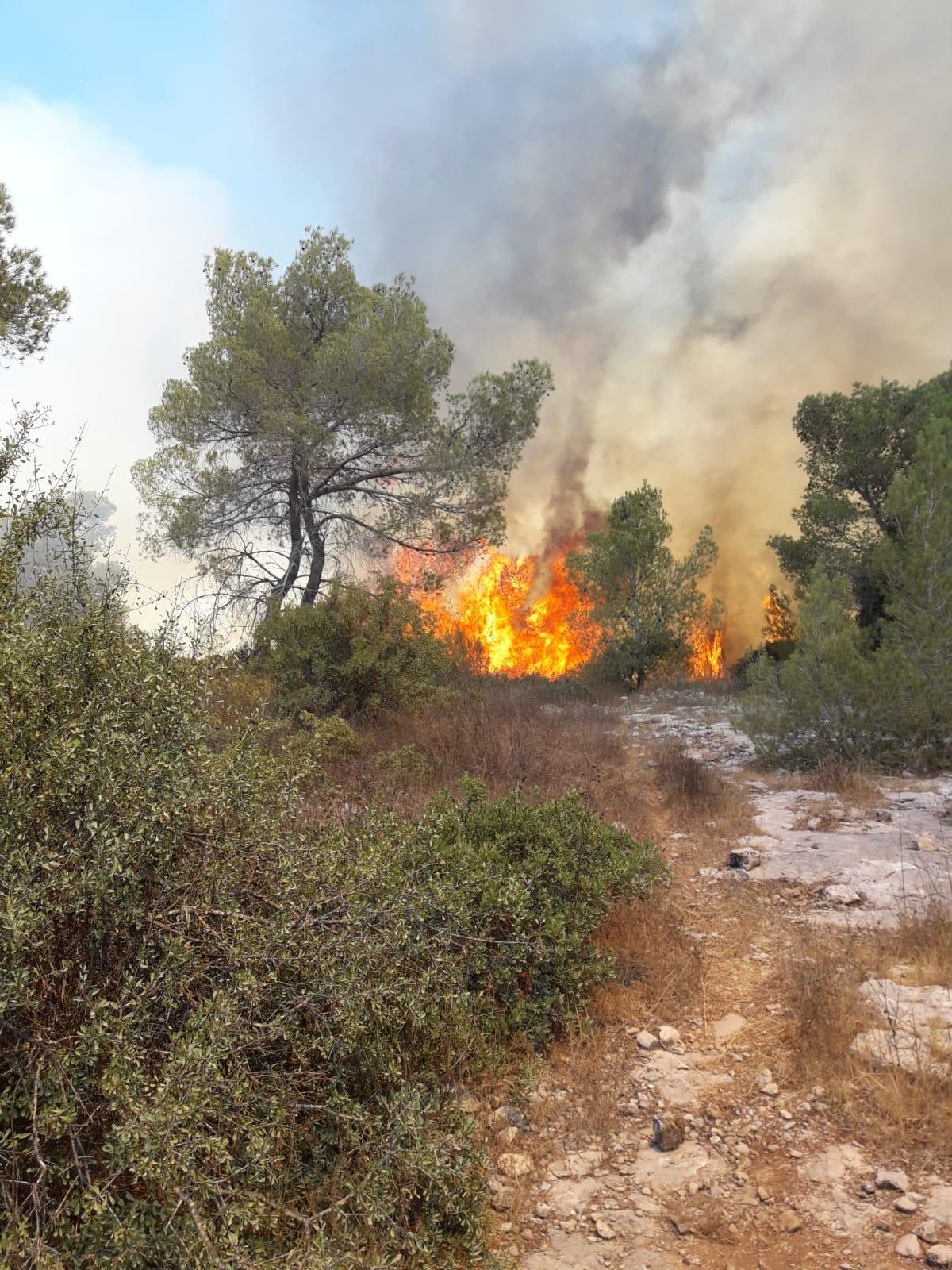 שריפת ענק במורדות הרי ירושלים • תיעוד