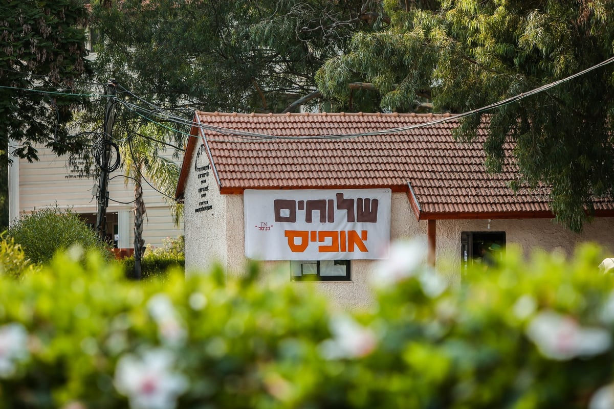 הצצה: הקעמפ אליו נרשמים רק ילדי השלוחים