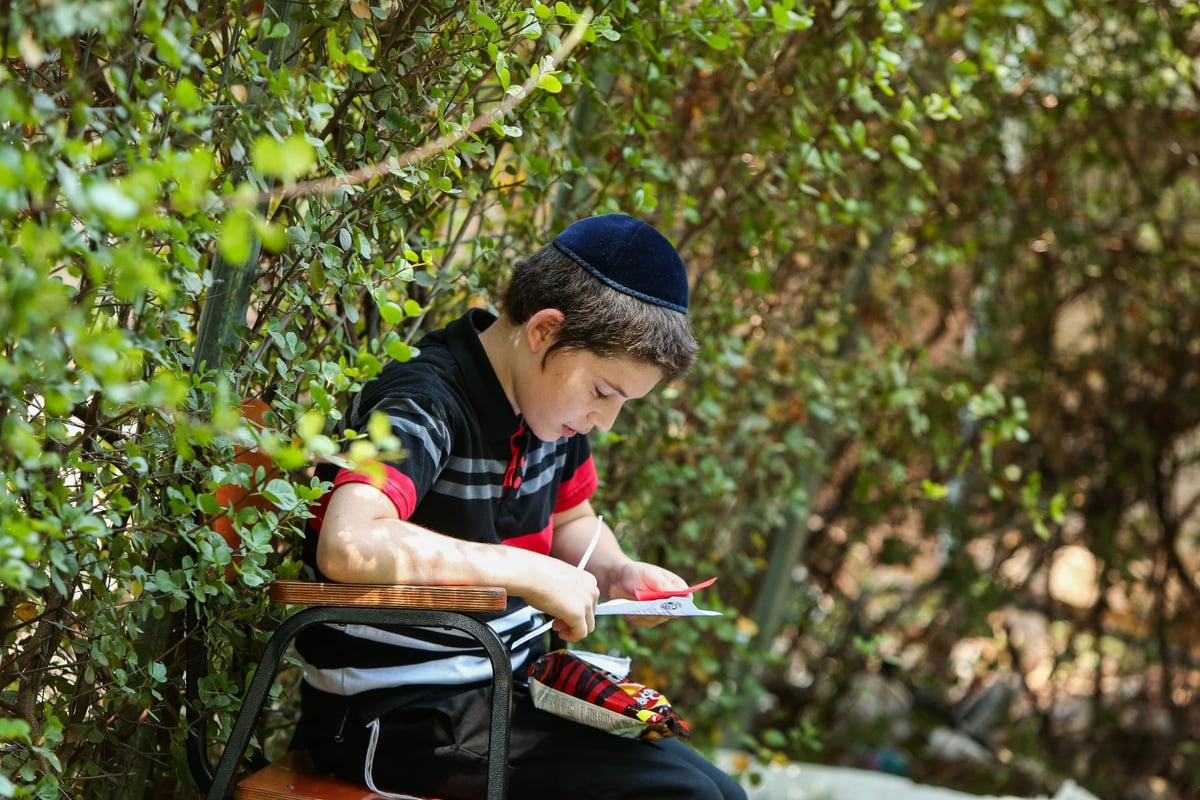 הצצה: הקעמפ אליו נרשמים רק ילדי השלוחים