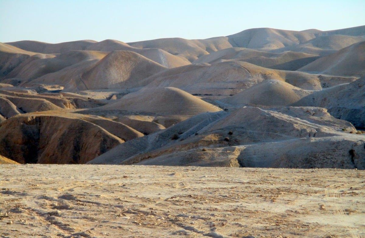 טיול למדבר יהודה דרך עדשת המצלמה