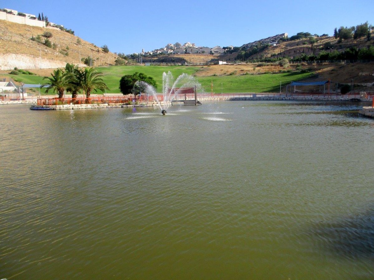 טיול למדבר יהודה דרך עדשת המצלמה