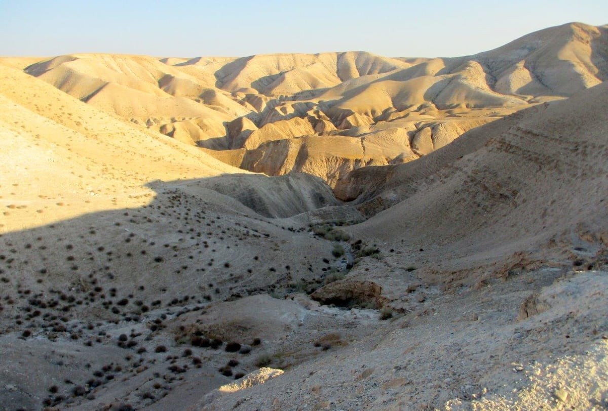 טיול למדבר יהודה דרך עדשת המצלמה