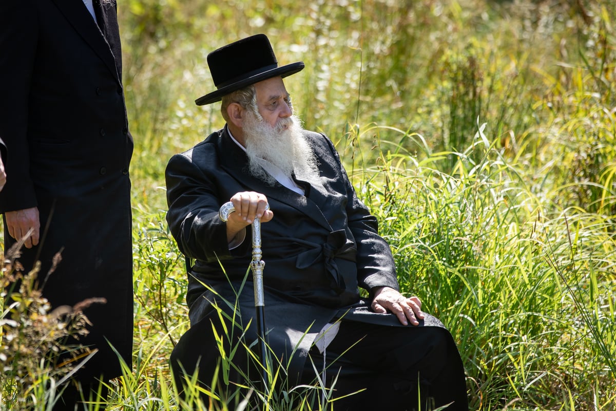 האדמו"ר מקוסוב ויז'ניץ בנאות דשא בארה"ב