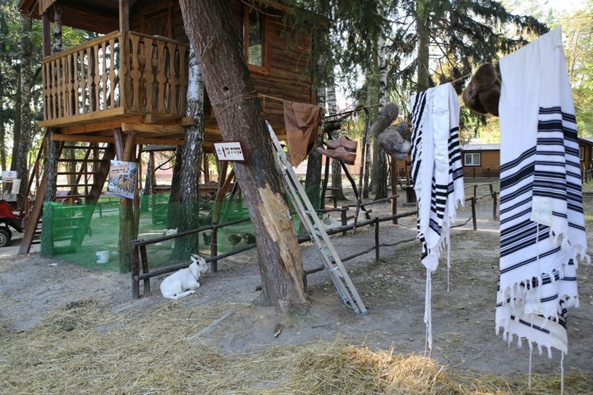 מרגש: האדמו"ר מויז'ניץ סנדק באוקראינה