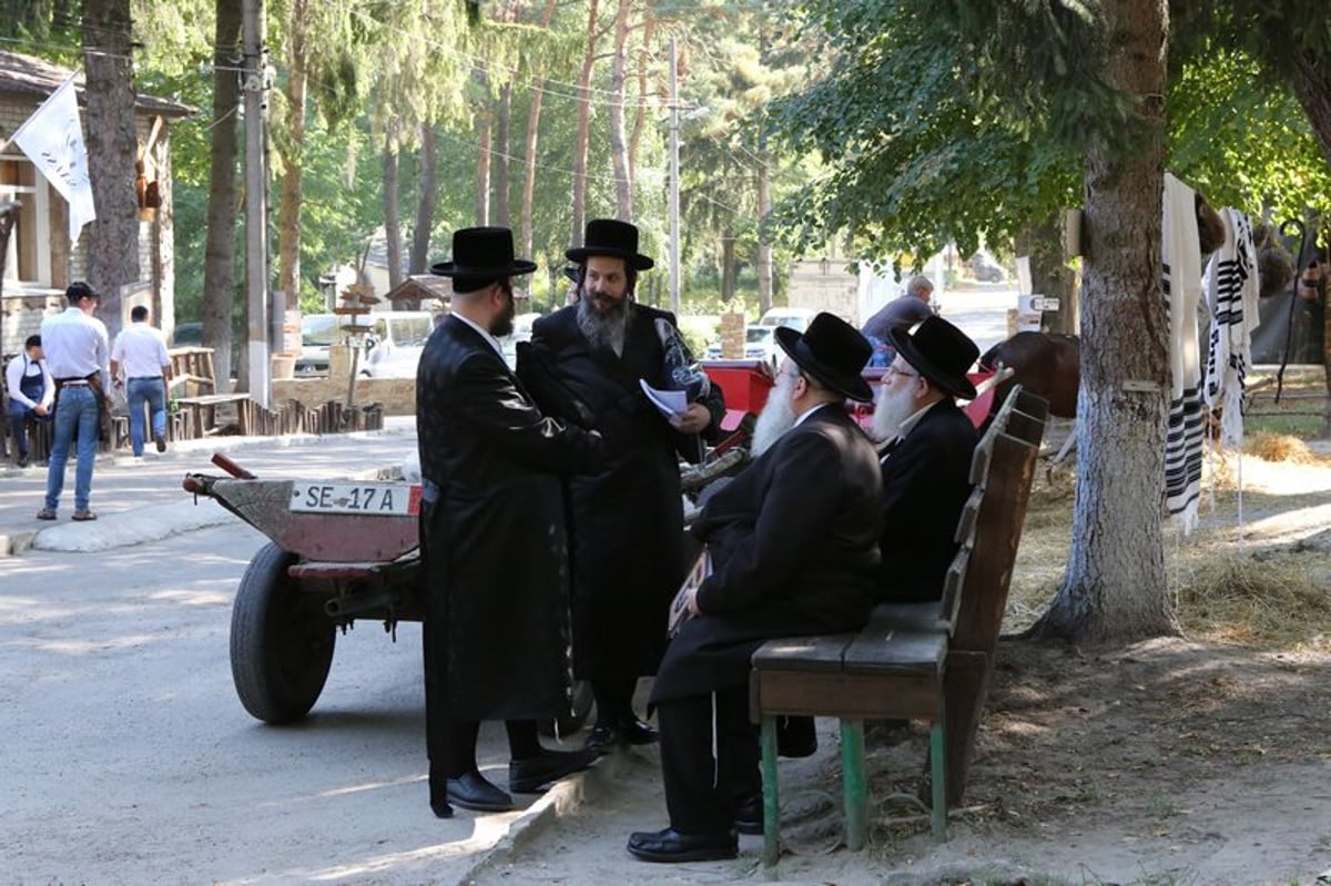 מרגש: האדמו"ר מויז'ניץ סנדק באוקראינה