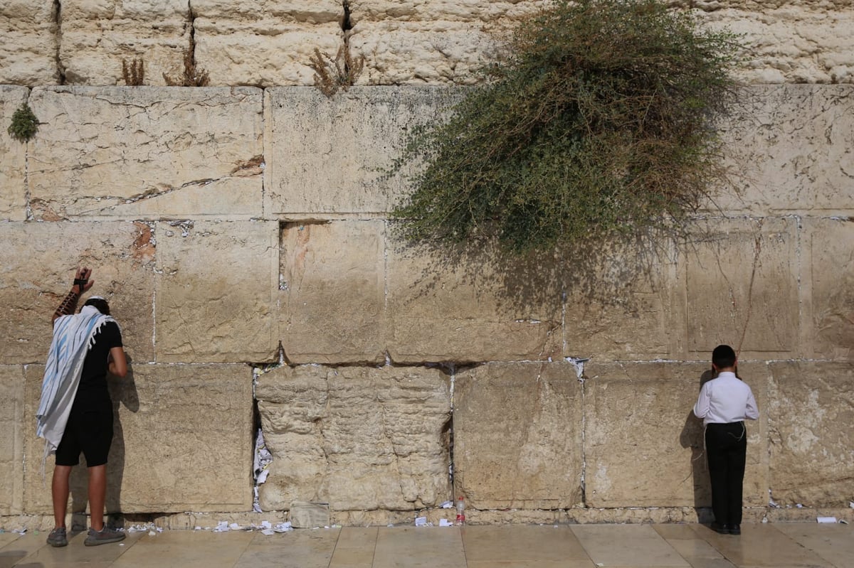 אלול: בכותל המערבי תקעו בשופר • תיעוד