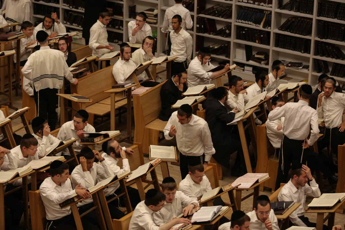 גלרייה: השטייגען של פתיחת הזמן ב'קמניץ'